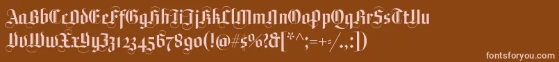 Plagwitz Font – Pink Fonts on Brown Background