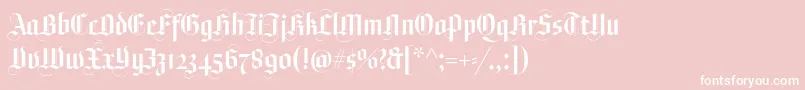 Plagwitz Font – White Fonts on Pink Background