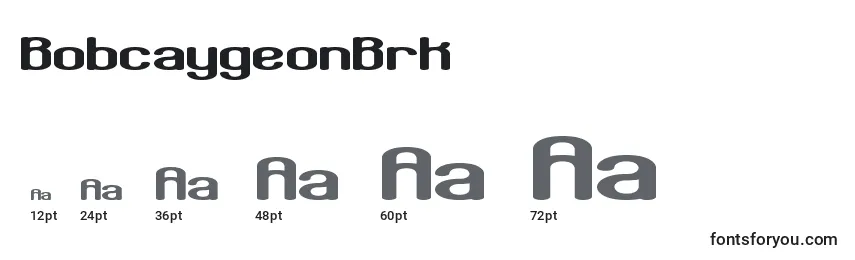 BobcaygeonBrk Font Sizes