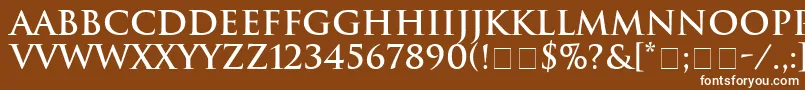Подробнее о шрифте HeliosSsiBold Шрифт HeliosSsiBold – белые шрифты на коричневом фоне