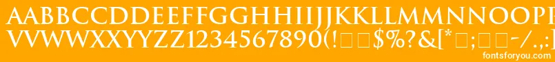 HeliosSsiBold Font – White Fonts on Orange Background