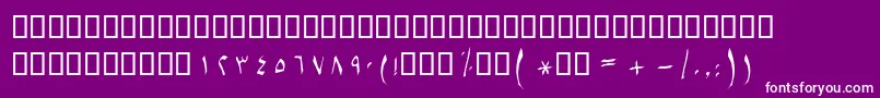 BSetareh Font – White Fonts on Purple Background