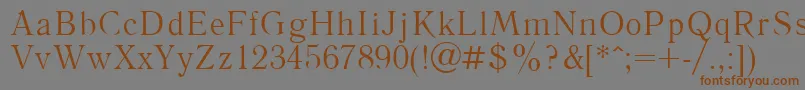 Шрифт Literpla – коричневые шрифты на сером фоне