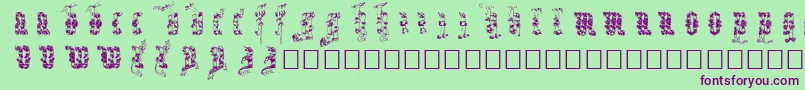 Infula Font – Purple Fonts on Green Background