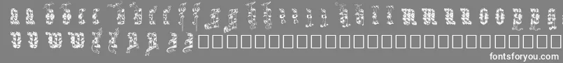 フォントInfula – 灰色の背景に白い文字