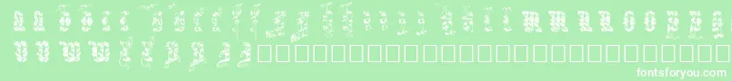 Infula Font – White Fonts on Green Background