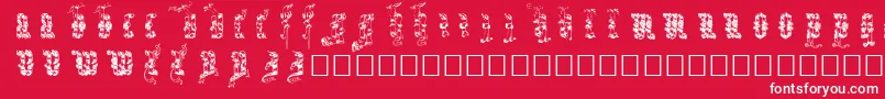 フォントInfula – 赤い背景に白い文字