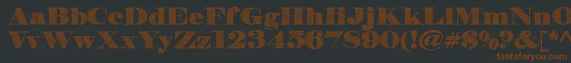 HbSketchDemo Font – Brown Fonts on Black Background