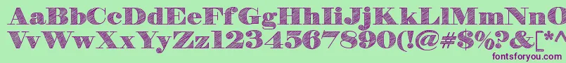 HbSketchDemo Font – Purple Fonts on Green Background