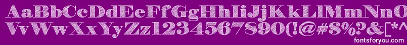 HbSketchDemo Font – White Fonts on Purple Background