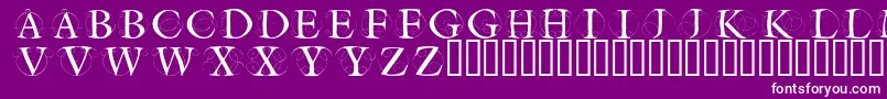Шрифт Circleinitialsfree – белые шрифты на фиолетовом фоне