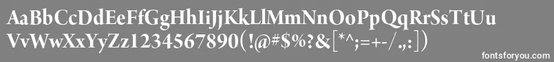 ArnoproBold36pt Font – White Fonts on Gray Background