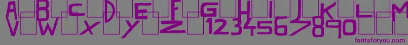 フォントDarkTimesBlack – 紫色のフォント、灰色の背景