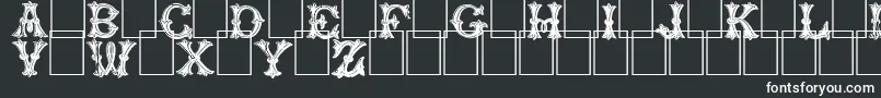 Trefoilcapitals Font – White Fonts