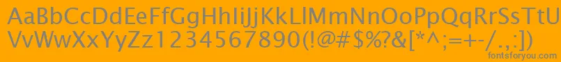 LucidaSansRegular Font – Gray Fonts on Orange Background