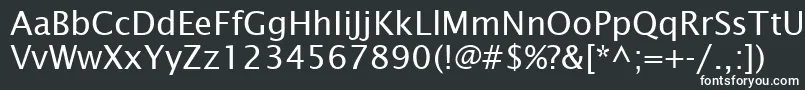 LucidaSansRegular Font – White Fonts on Black Background