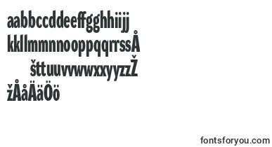 DynagroteskdxcBold font – finnish Fonts