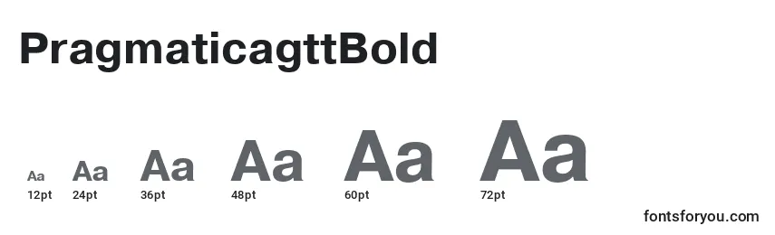 Размеры шрифта PragmaticagttBold