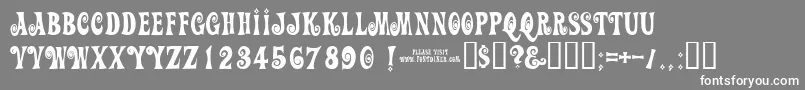 Actionis Font – White Fonts on Gray Background