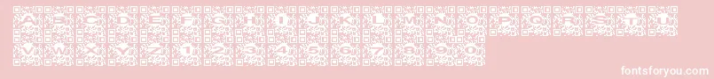 Qrurl Font – White Fonts on Pink Background