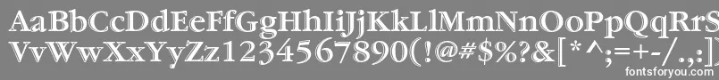 フォントGaramondstdHandtooledbold – 灰色の背景に白い文字