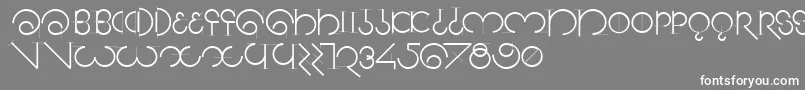 Segmentasans Font – White Fonts on Gray Background