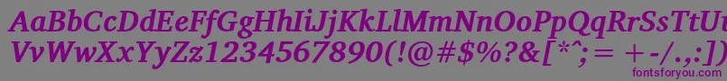 VelekaBolditalic Font – Purple Fonts on Gray Background