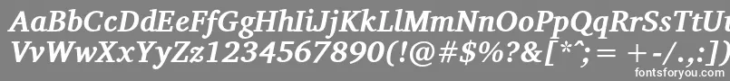 フォントVelekaBolditalic – 灰色の背景に白い文字