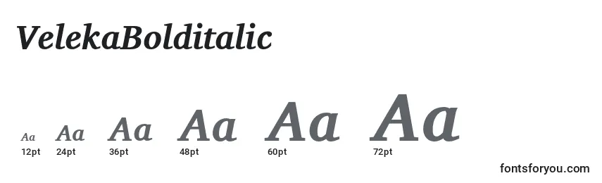 VelekaBolditalic Font Sizes