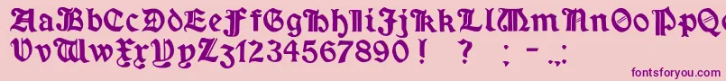 MinimExtrabold Font – Purple Fonts on Pink Background