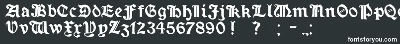 フォントMinimExtrabold – 白い文字