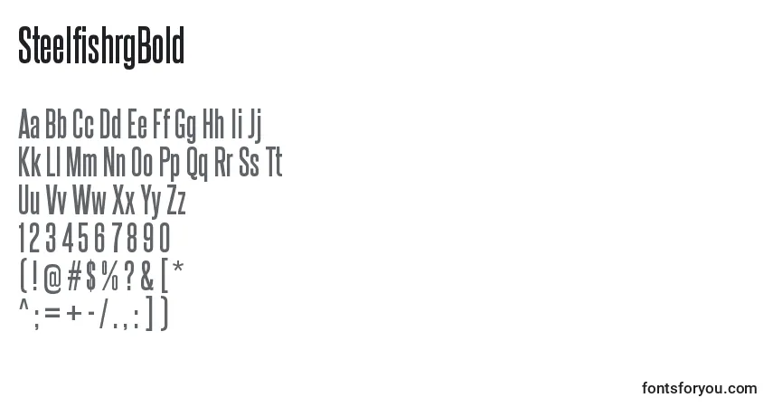 Czcionka SteelfishrgBold – alfabet, cyfry, specjalne znaki