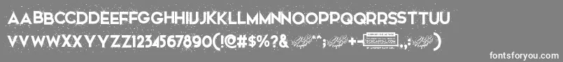 フォントSnowinterFreeForPersonalUse – 灰色の背景に白い文字