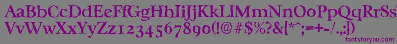 CasablancarandomMediumRegular Font – Purple Fonts on Gray Background