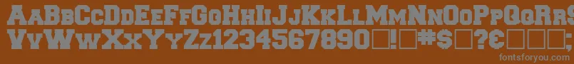 Freshman Font – Gray Fonts on Brown Background