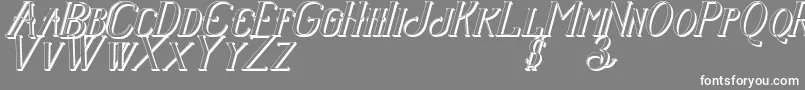 Senandungmalamitalicbold3D Font – White Fonts on Gray Background