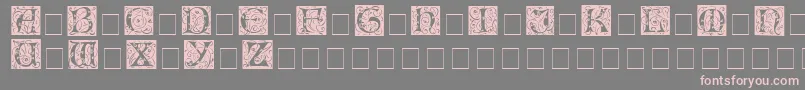 Saiba mais sobre a fonte IlluminationessidisplaycapsMedium Fonte IlluminationessidisplaycapsMedium – fontes rosa em um fundo cinza