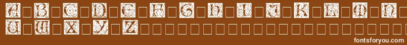 IlluminationessidisplaycapsMedium Font – White Fonts on Brown Background