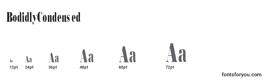 BodidlyCondensed Font Sizes