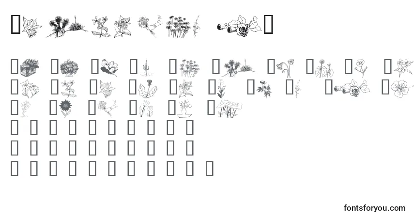 Wmflowers2-fontti – aakkoset, numerot, erikoismerkit