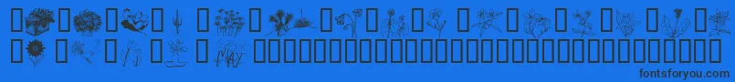 Wmflowers2 Font – Black Fonts on Blue Background