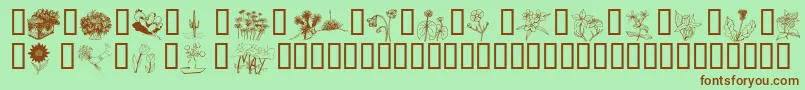 Wmflowers2 Font – Brown Fonts on Green Background