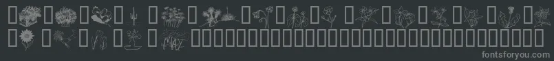 Saiba mais sobre a fonte Wmflowers2 Fonte Wmflowers2 – fontes cinzas em um fundo preto