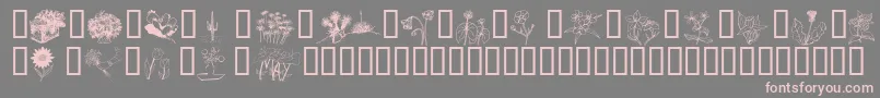 Wmflowers2 Font – Pink Fonts on Gray Background