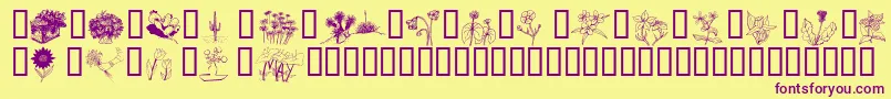 Wmflowers2 Font – Purple Fonts on Yellow Background