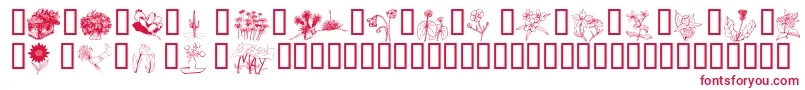 Wmflowers2 Font – Red Fonts on White Background