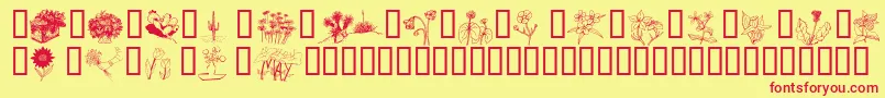 Wmflowers2 Font – Red Fonts on Yellow Background