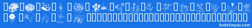 Wmflowers2-Schriftart – Weiße Schriften auf blauem Hintergrund