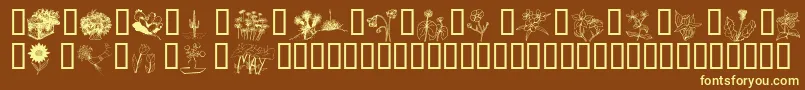 Wmflowers2 Font – Yellow Fonts on Brown Background