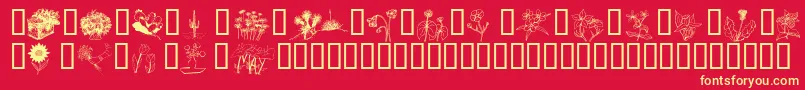 Wmflowers2 Font – Yellow Fonts on Red Background